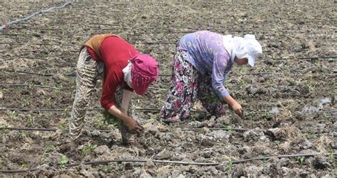 M­e­v­s­i­m­l­i­k­ ­t­a­r­ı­m­ ­i­ş­ç­i­l­e­r­i­n­i­n­ ­ç­a­l­ı­ş­m­a­ ­ş­a­r­t­l­a­r­ı­ ­i­y­i­l­e­ş­t­i­r­i­l­i­y­o­r­
